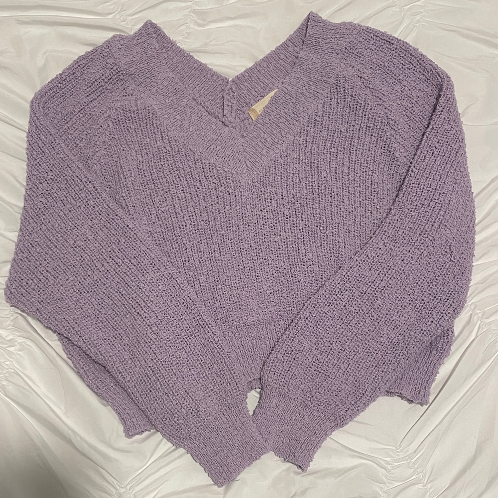 altard state cropped sweater